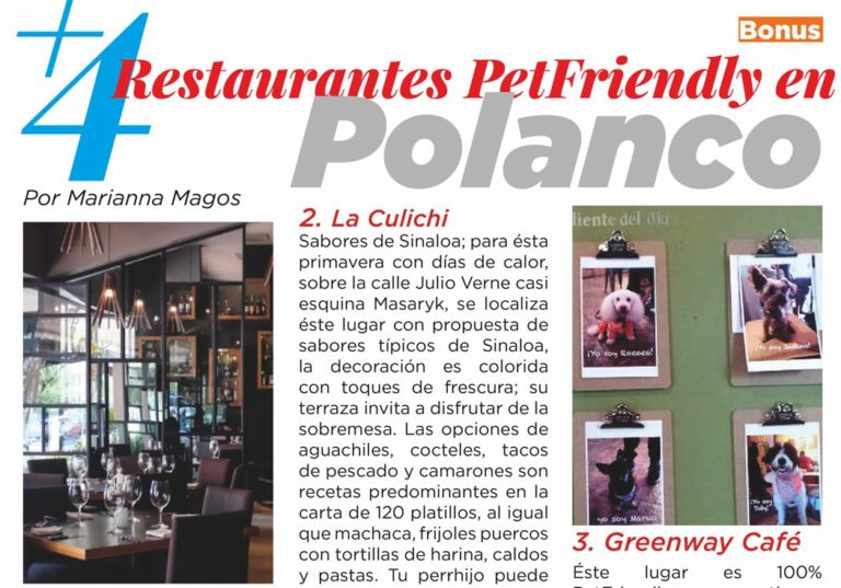 4 restaurantes PetFriendly en Polanco