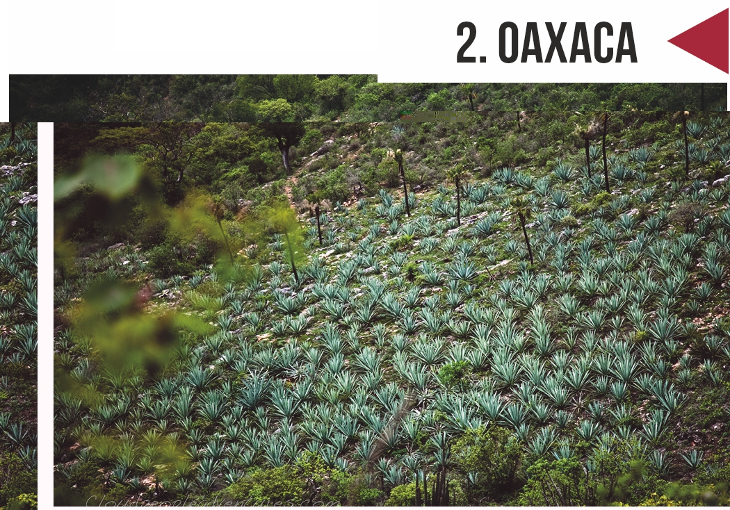 Oaxaca en primavera