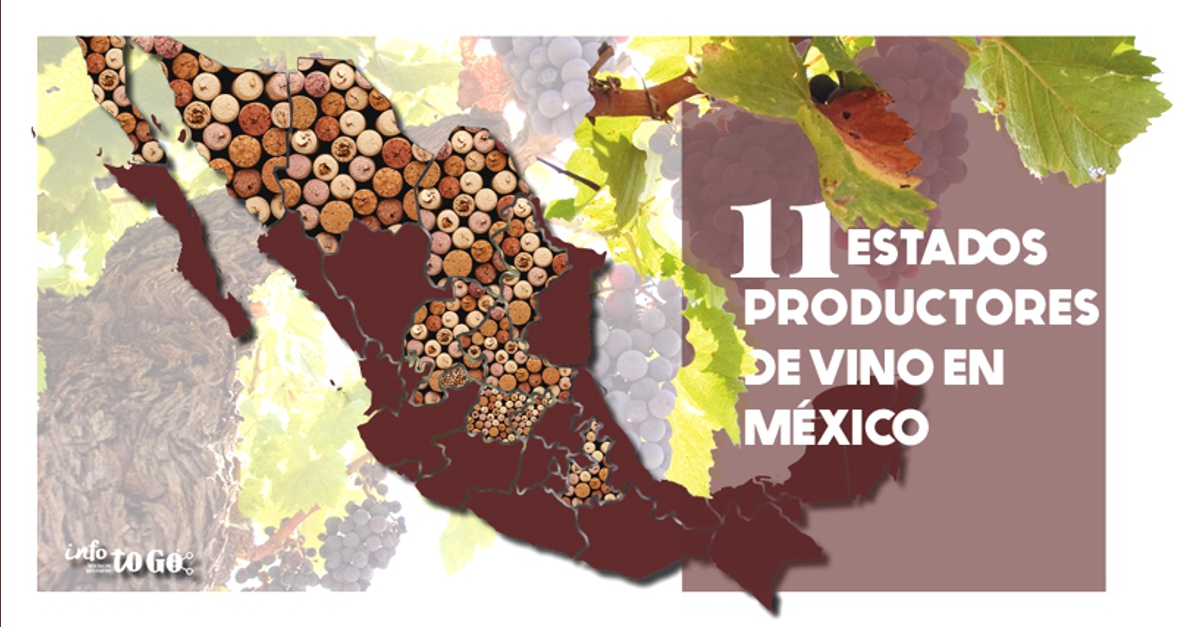 11 Estados productores