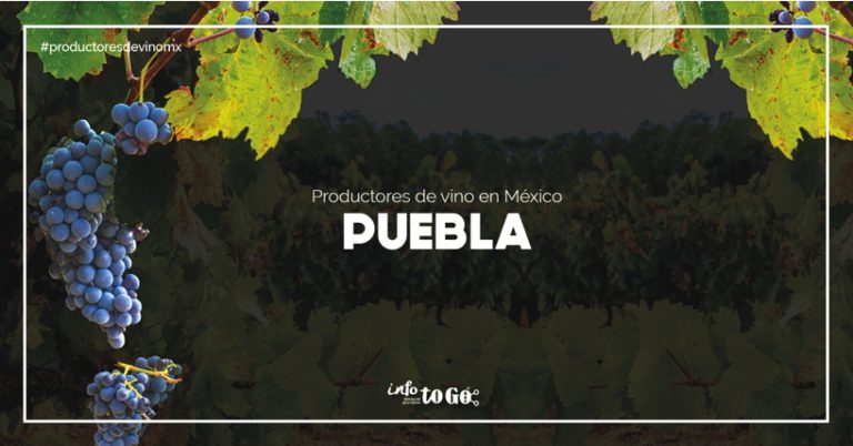 productor de vino: Puebla
