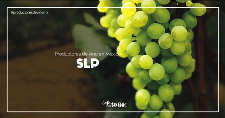 productor de vino: SLP