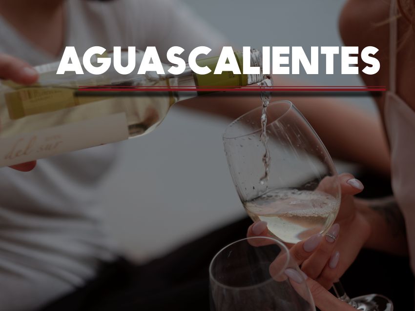 Vendimias 2019 Aguascalientes