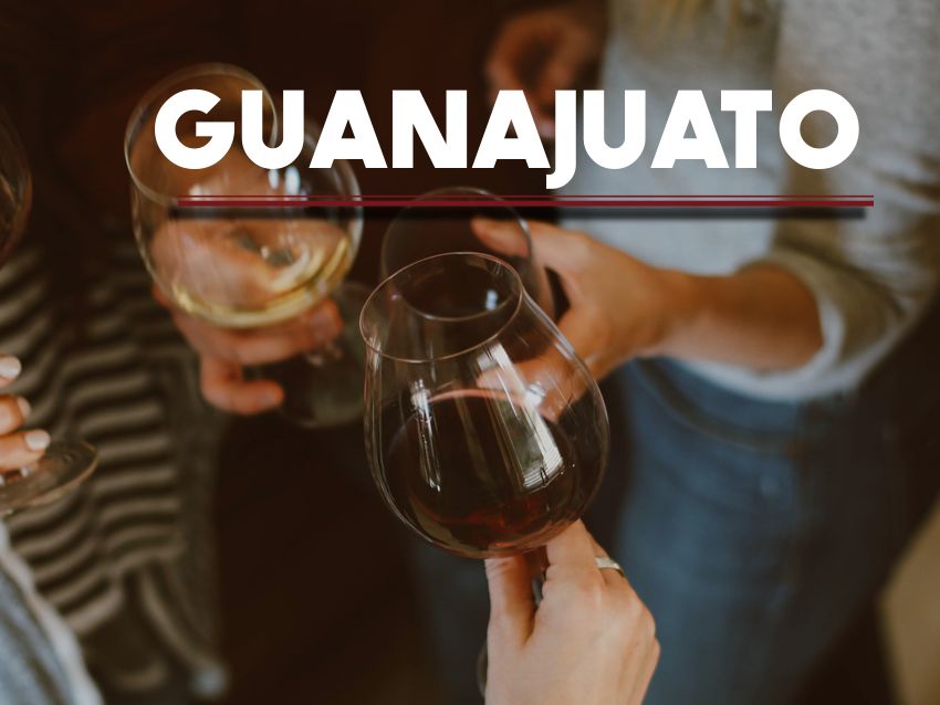 vendimias 2019 guanajuato