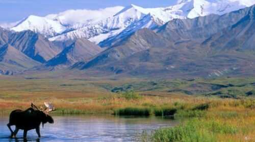 Alaska se abre al turismo