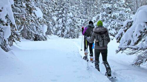 Reno y Lake Tahoe: la pareja perfecta para esquiar