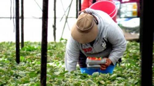 10 escapadas relámpago cerca de la CDMX