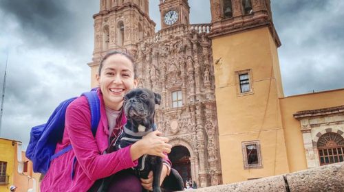 Hoteles petfriendly en Guanajuato