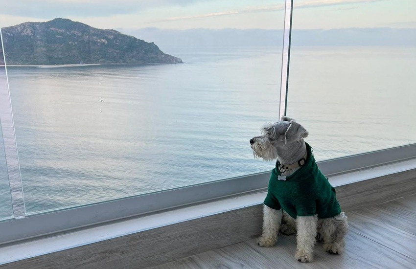 Ruta-Petfriendly